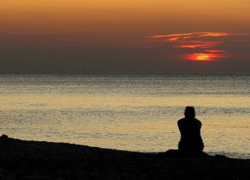Contemplar não é simplesmente observar algo à distância, mas permitir que o que está diante de nós nos atravesse e deixe suas marcas -  (crédito: PIXABAY)