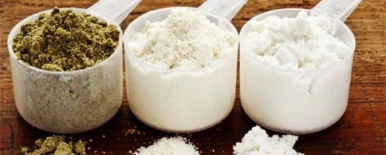 O whey protein e o leite em pó são duas das opções mais procuradas por usuários de academia para suplementação proteica -  (crédito:  Divulgação)