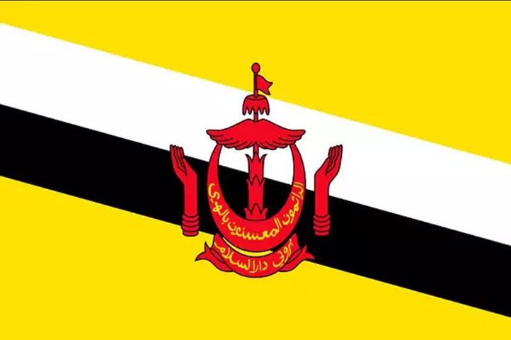 Sultão, em árabe, significa "aquele que detém o poder". Assim como as demais denominações, principalmente emir e califa, também é usado na política. Brunei e Omã  são países governados por sultões. 