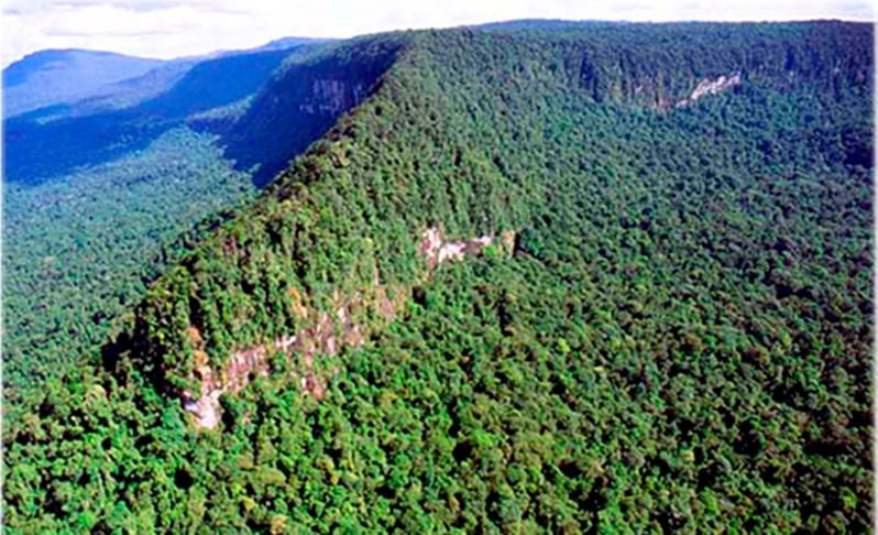 Fica no município de Uiramutã, na Serra do Caburaí, no estado de Roraima, e faz fronteira com a Guiana. O monte tem mais 1.456m de altitude. 