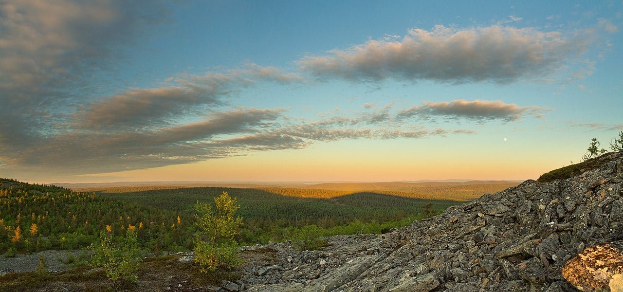 Diante da data, que é mais pensativa do que para comemoração, o Flipar lista as 10 maiores florestas do planeta.