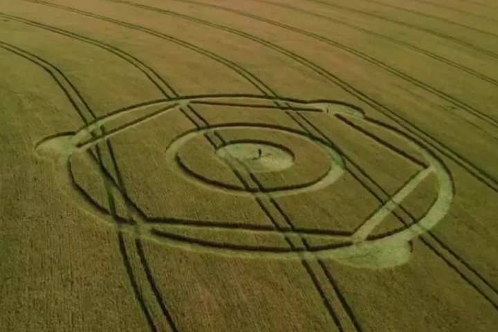 Mistério no campo de trigo: Marca inexplicável surge em plantação