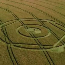 Mistério no campo de trigo: Marca inexplicável surge em plantação - Fábio wilcke/AIR 3/Reprodução