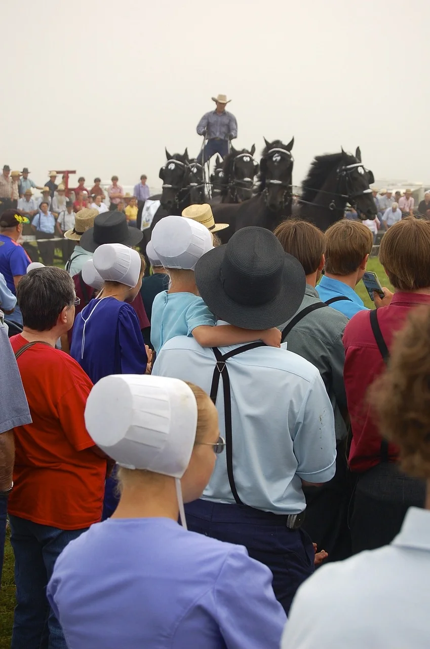 Amish é um grupo religioso cristão anabatista estabelecido nos Estados Unidos e no Canadá. Eles são conhecidos por seus costumes conservadores, como a restrição ao uso de equipamentos eletrônicos, inclusive telefones e automóveis.