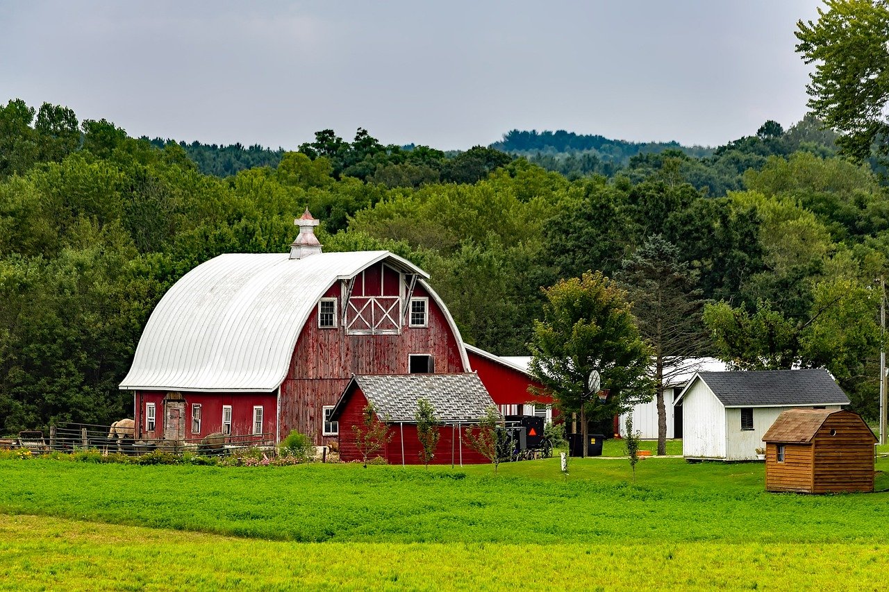 O debate acalorado fez com que os amish tradicionalistas e os amish mais progressistas não chegassem a um lugar comum. O segundo grupo tornaram-se conhecidos pelo nome menonitas amish, que traziam uma visão diferente da antiga ordem.