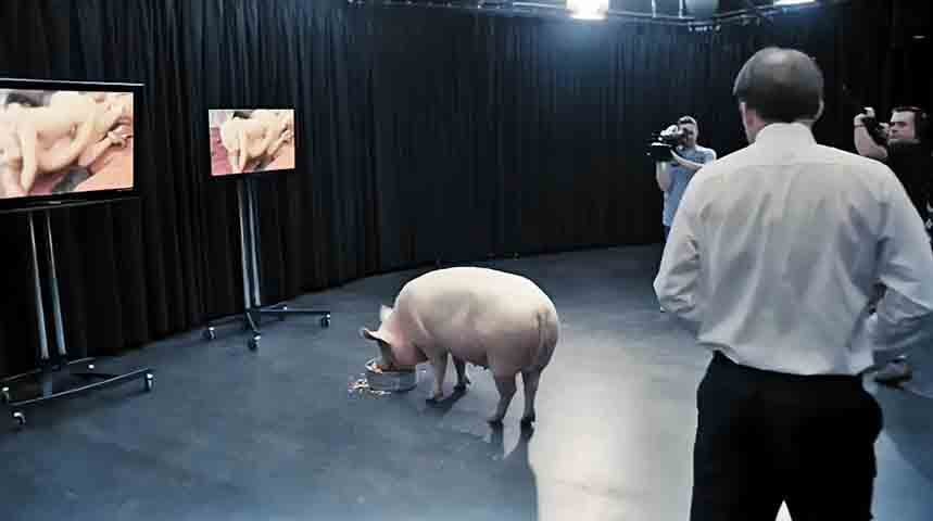 Na estreia da primeira temporada, Black Mirror já deixava claro a que vinha. "The National Anthem" (S01E01) choca ao mostrar o primeiro-ministro britânico forçado a cometer um ato humilhante em rede nacional, expondo o poder das redes sociais e da opinião pública.