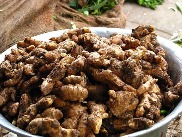A relaÃ§Ã£o entre o gengibre e o cÃ¢ncer tem sido alvo de pesquisas. Alguns estudos indicam que os compostos bioativos dessa raiz podem ajudar a combater o estresse oxidativo e a inflamaÃ§Ã£o, dois fatores que contribuem para o desenvolvimento de tumores.