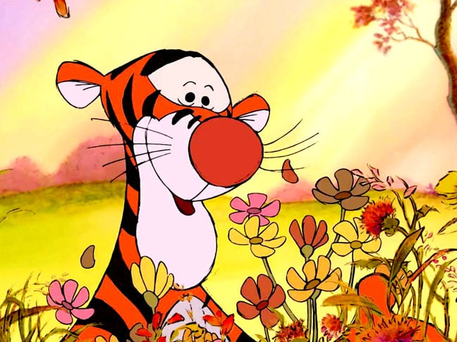 Ele também deu vida ao personagem Tigrão, da série "Ursinho Pooh", outra que também é da Disney. 