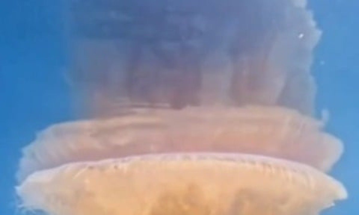 Água-viva gigantesca e rara causa surpresa no litoral do Brasil - Reprodução de vídeo de Rafael Mesquita 