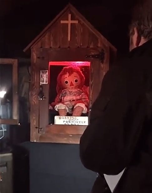 A boneca verdadeira é bem diferente da boneca do filme: é de pano, com cabelos vermelhos e um sorriso. Ela se chamava originalmente Raggedy Ann, inspirada numa boneca de pano da filha do ilustrador e autor de livros infantis Johnny Gruelle (1880-1938-Reprodução de vídeo do twitte @ConjuringBrasil