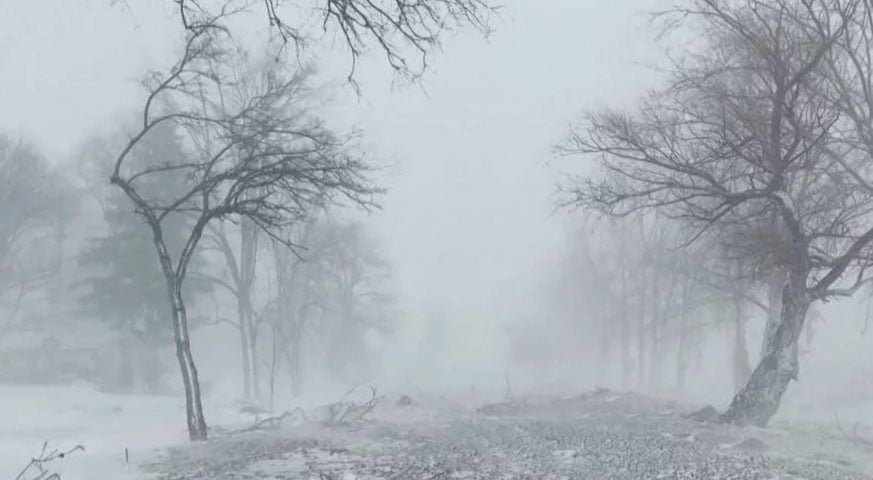 As cidades atingidas pela tempestade de neve ganharam uma aparência fantasmagórica. Parecia cenário de filme. 