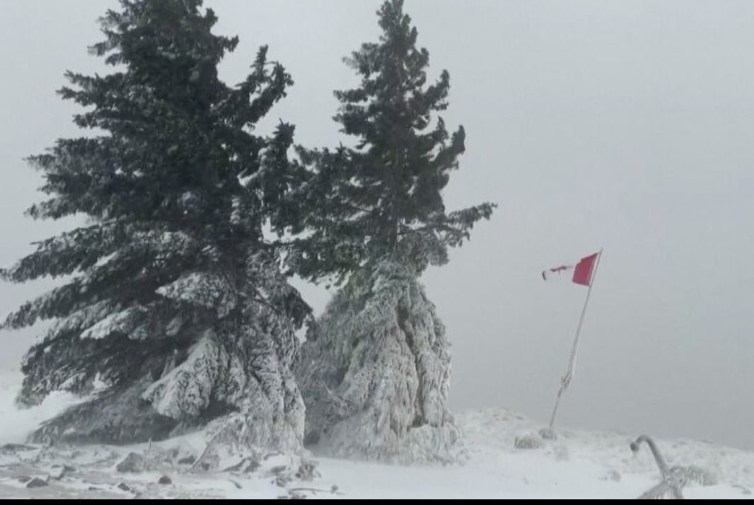 Nevascas ocorrem com alguma frequência em países frios, mas certas tempestades são muito intensas e carregam ventos polares capazes de congelar árvores e o mobiliário urbano. 