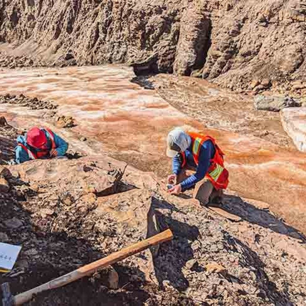 Inteligência artificial descobre um dos depósitos de cobre mais gigantescos do planeta