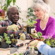 Pesquisas mostram que a jardinagem preserva a função cognitiva, ajudando você a viver bem por mais tempo -  (crédito: Getty Images)