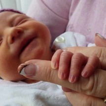 Bebês reborn: judicialização do absurdo e a insanidade jurídica - Pixabay