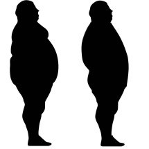 BH sedia 21º Congresso Brasileiro de Obesidade e Síndrome Metabólica  -  Tumisu/Pixabay