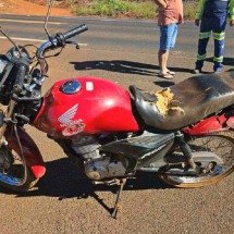 Motociclista de 72 anos acessa rodovia por via rural e morre em acidente - Divulga&Atilde;&sect;&Atilde;&pound;o/PMMG