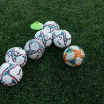 Casal recebe indenização milionária após 170 bolas 'caírem no jardim' - Reprodução/Pexels