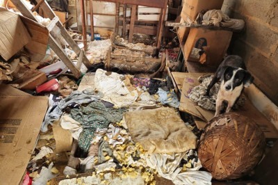 móvel localizado no Centro da cidade da Grande BH está repleto de sujeira, e os animais da moradora continuam no local

 -  (crédito: Jair Amaral/EM/D.A PRESS)