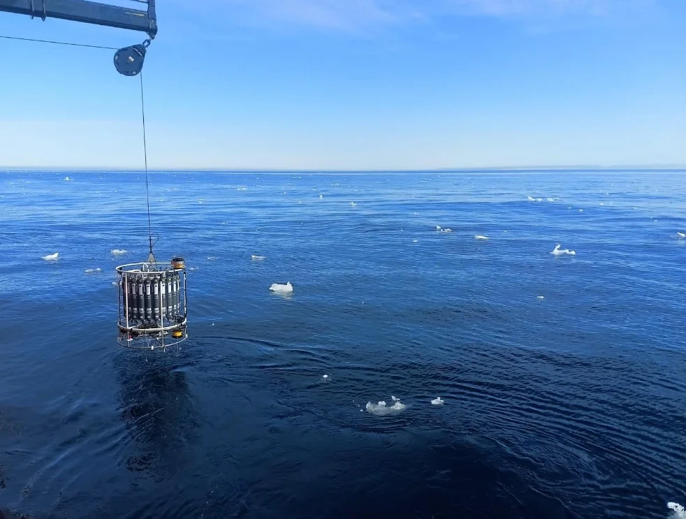 “Um bom exemplo está na costa catalã, onde a diminuição do número de dias transmontanos no inverno no Golfo de Leão e no norte da costa catalã está a provocar um enfraquecimento deste processo oceanográfico, que é decisivo na regulação do clima e tem um grande impacto nos ecossistemas profundos", explicou Anna Sanchez-Vidal.