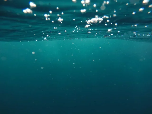 O ambiente escuro e livre de oxigênio do fundo do mar permitiu a preservação excepcional dos materiais.