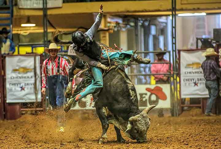 A cidade é um centro de música raiz no Texas, celebrando o legado da cultura cowboy - estilo que engloba vestimentas rurais, chapéus, botas, rodeios e danças típicas de two-step.