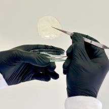 Pesquisadores mineiros criam curativo inteligente e ecológico  - Divulgação / Universidade Federal de Viçosa