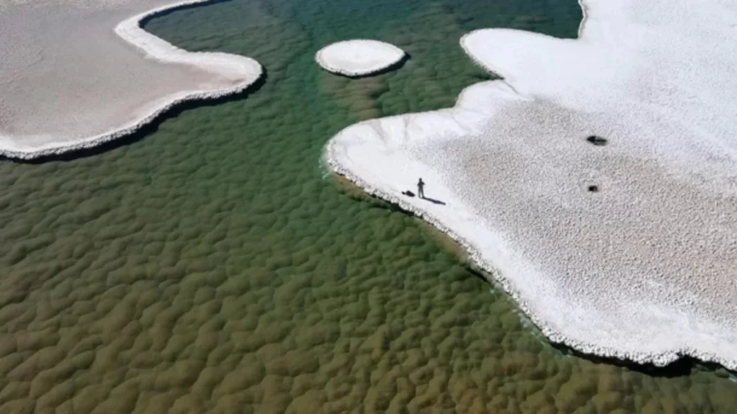 "Lagoas de micróbios" são descobertas em deserto da Argentina