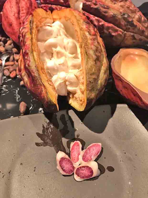 Esse tipo possui 47,3% de cacau â?? o mesmo teor de um chocolate do tipo meio amargo.