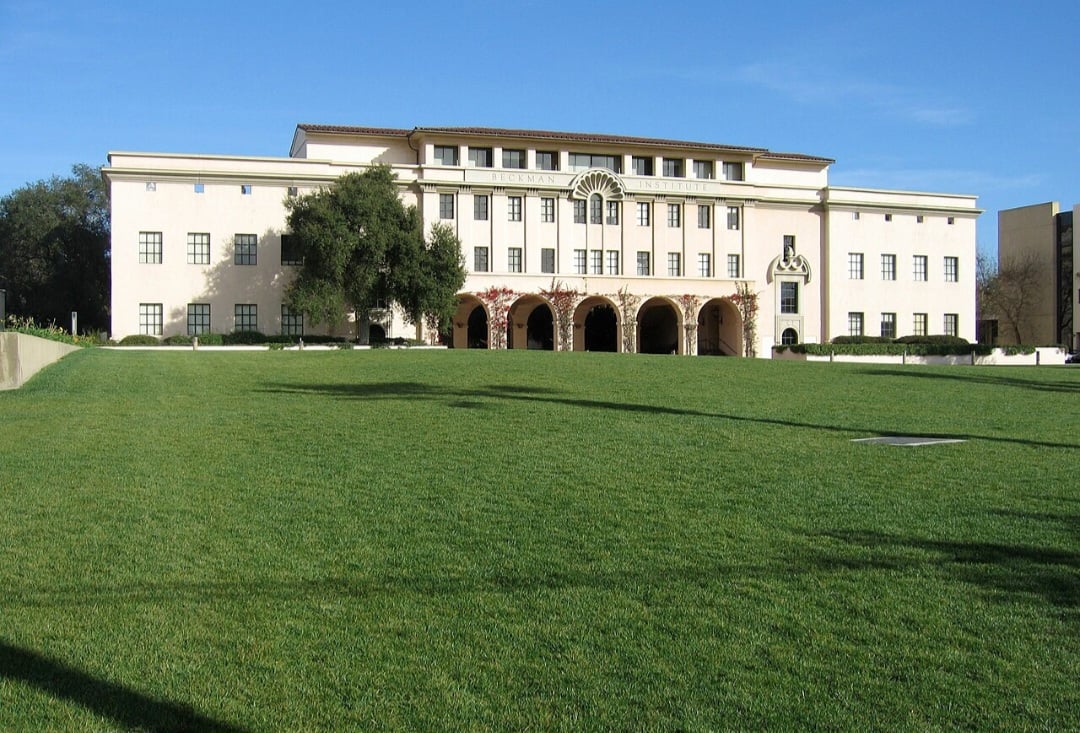Pesquisadores do Instituto de Tecnologia da Califórnia, o Caltech (foto) criaram uma água-viva biônica que vai auxiliar nos estudos sobre as profundezas do oceano.-Kevin Stanchfield wikimedia commons 