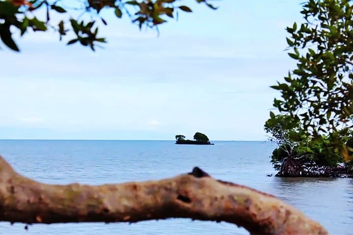 A presença dessa fauna no local, que fez de um navio encalhado uma ilha artificial,  levou o governo da Austrália a declarar a área Patrimônio Marítimo. 
