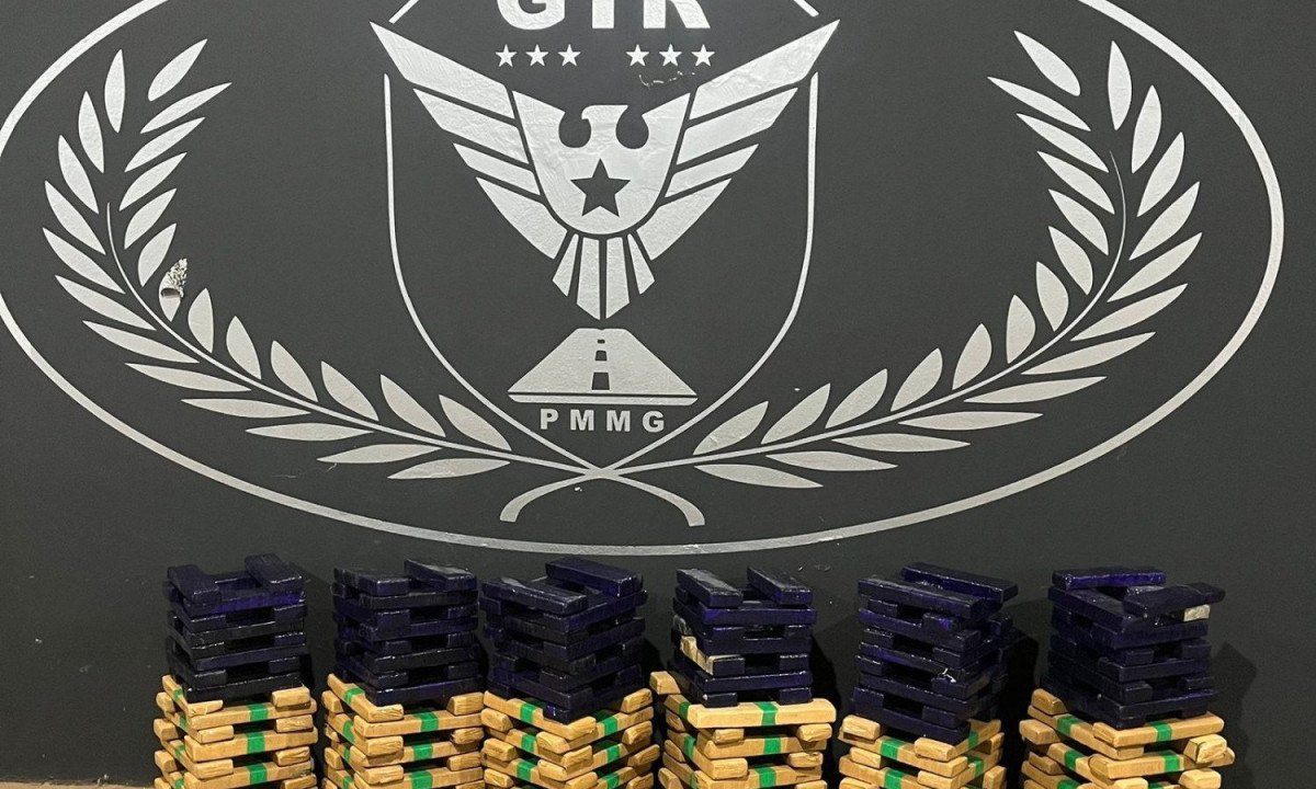 Polícia apreendeu 214 barras de maconha. Droga é avaliada em R$ 500 mil -  (crédito: PMMG/Divulgação)