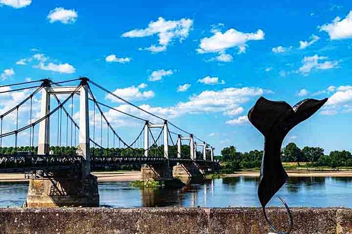 Os visitantes podem ear ao longo das margens do Loire, um rio classificado como Patrimônio Mundial pela UNESCO devido à sua importância histórica e paisagística.