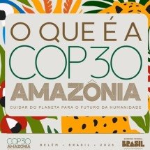 Personagem do folclore nacional será mascote da COP 30 - Reprodução Instagram 