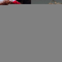 Mick Jagger vai a show de Vanessa da Mata e "tieta" cantora nos bastidores - Montagem/Divulgação/Reprodução