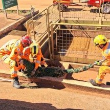 Vídeo: jacaré é capturado em tanque de água em empresa de bioenergia em MG - CBMMG/Divulga&ccedil;&atilde;o