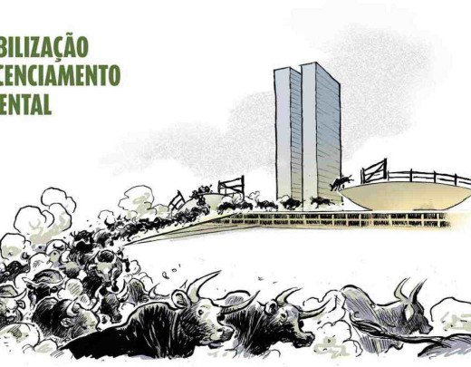 Boiada -  (crédito: Quinho)