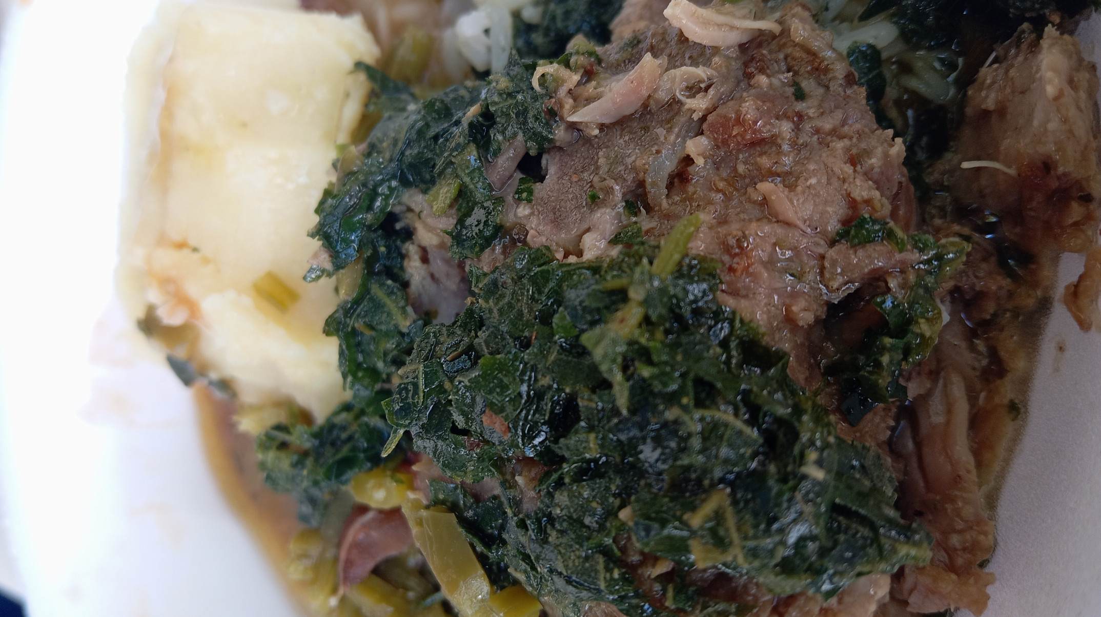  Preparado para uma carne de porco com ora-pro-nóbis?     