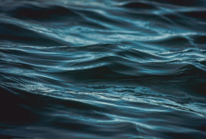 Algumas espÃ©cies podem sobreviver por meses sem se alimentar, aguardando o momento certo para capturar uma presa.