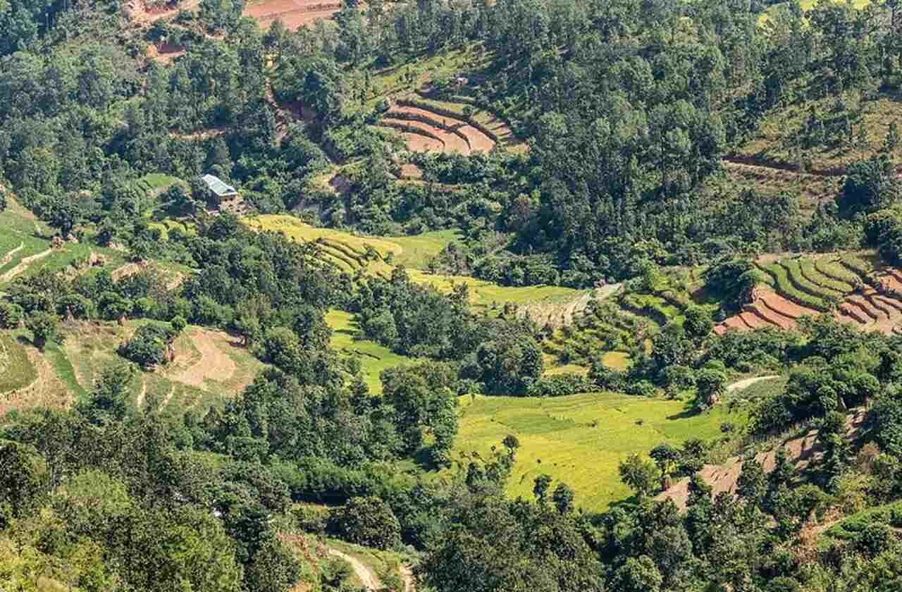 Com uma economia predominantemente agrícola, cerca de 70% da mão de obra está envolvida na agricultura, vital para o sustento da população.-Bijay Chaurasia Photography/Wikimedia Commons