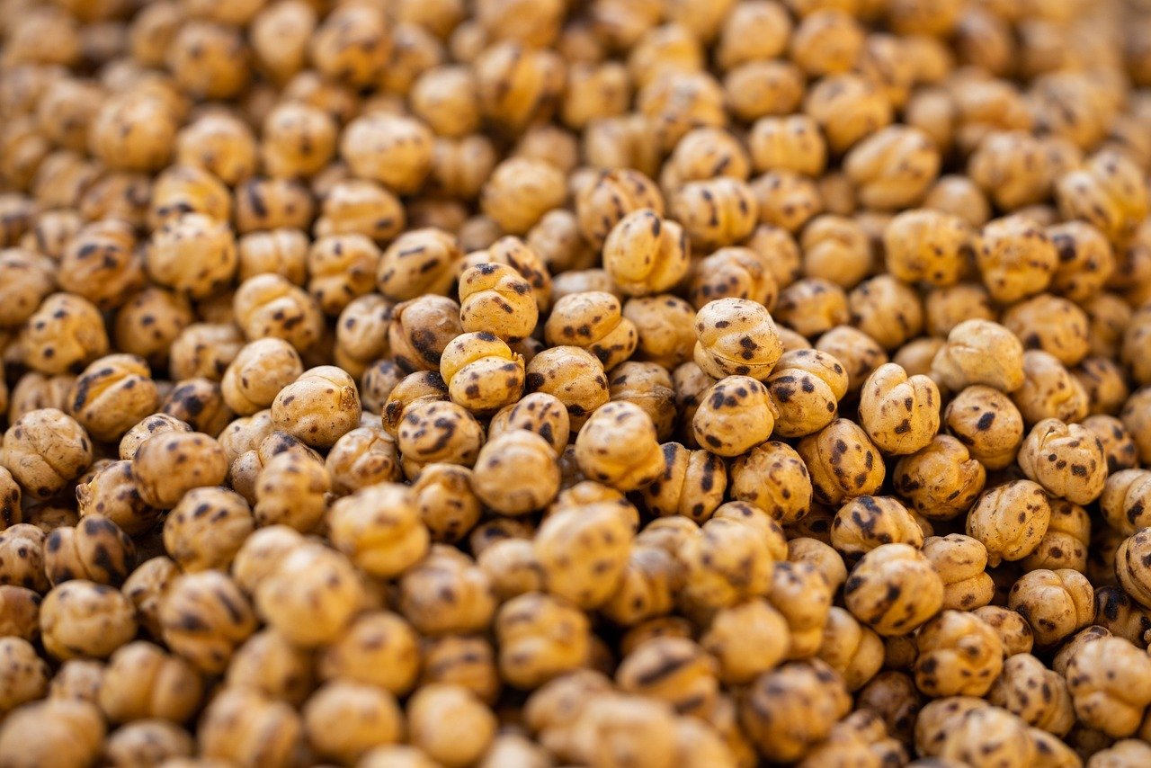 Seja em forma de homus, saladas, pratos quentes ou até mesmo sobremesas, o grão-de-bico continua conquistando espaço na culinária global. Incorporá-lo à dieta é uma excelente escolha para melhorar a saúde e diversificar o cardápio com sabores ricos e nutritivos.