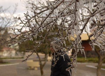  04/07/2011. Credito Vani Boza/Diario de Catarinense - Frio. Sao Joaquim, SC com temperaturas negativas -  (crédito: Credito Vani Boza/Diario de Catarinense)