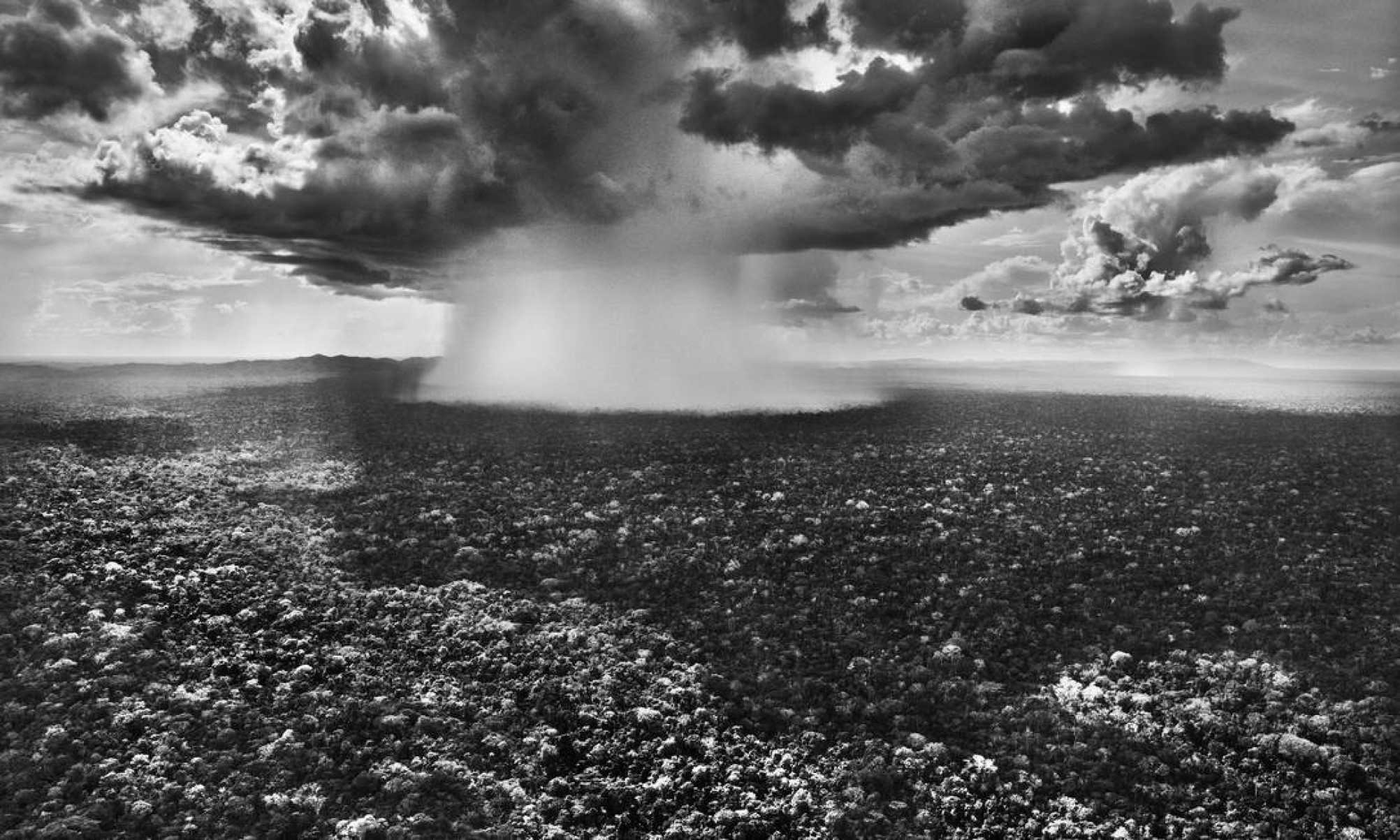 Impactado pela Amazônia, Sebastião Salgado registrou a grandiosidade daquela região-Sebastião Salgado 