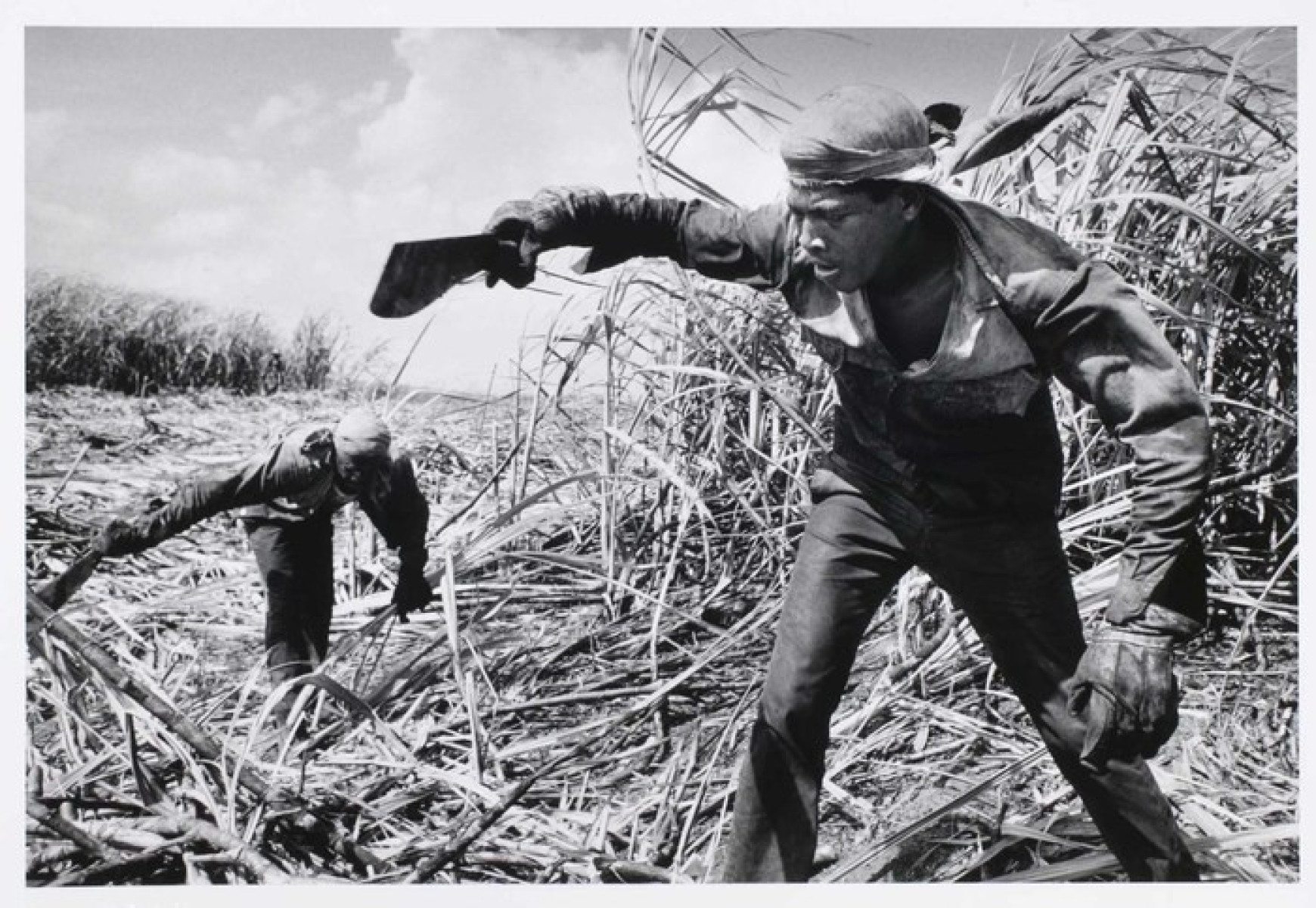 Trabalhador em plantação de cana-de-açúcar, em Cuba-Sebastião Salgado 