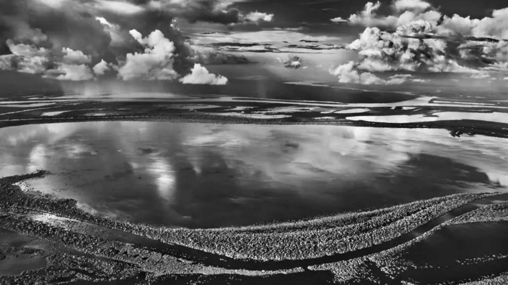 Ilhas Anavilhanas, arquipélago do Rio Negro, no Amazonas