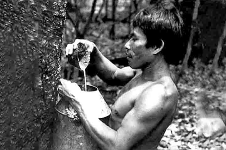 Quando os exploradores espanhóis chegaram à América no século XVI, observaram os nativos usando o látex. A palavra "borracha" vem do espanhol "caucho", derivada da palavra quechua para o material.