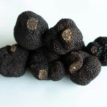 Fungo valioso: adorada pelos chefs de elite, trufa negra tem preço inacreditável - Big Dodzy unplash