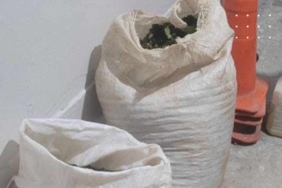 Sacas de café roubadas foram recuperadas em ação da Polícia Militar -  (crédito: Reprodução/PMMG)