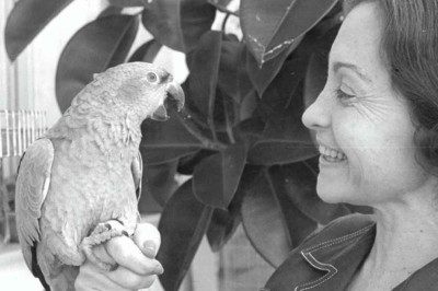 Lea Goldstein correu um abaixo-assinado no condomínio para que os moradores atestassem que Tzitzutzi não causava problema -  (crédito: Luiz Alfredo/O Cruzeiro/Arquivo EM - Setembro de 1972)