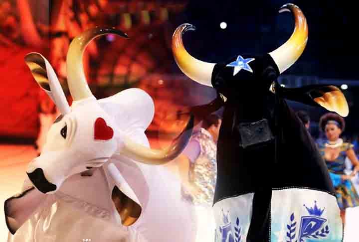 A celebração, que envolve os bois-bumbás Caprichoso e Garantido, é um dos eventos folclóricos mais relevantes do Brasil e tem apresentações anuais repletas de cores, música e tradição. 